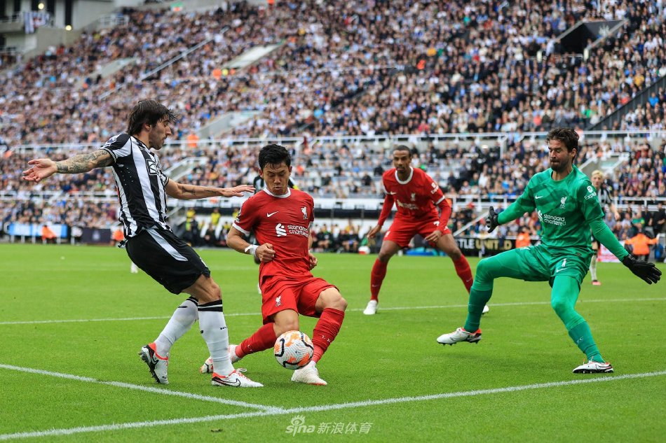 期间都会保 期间都会保